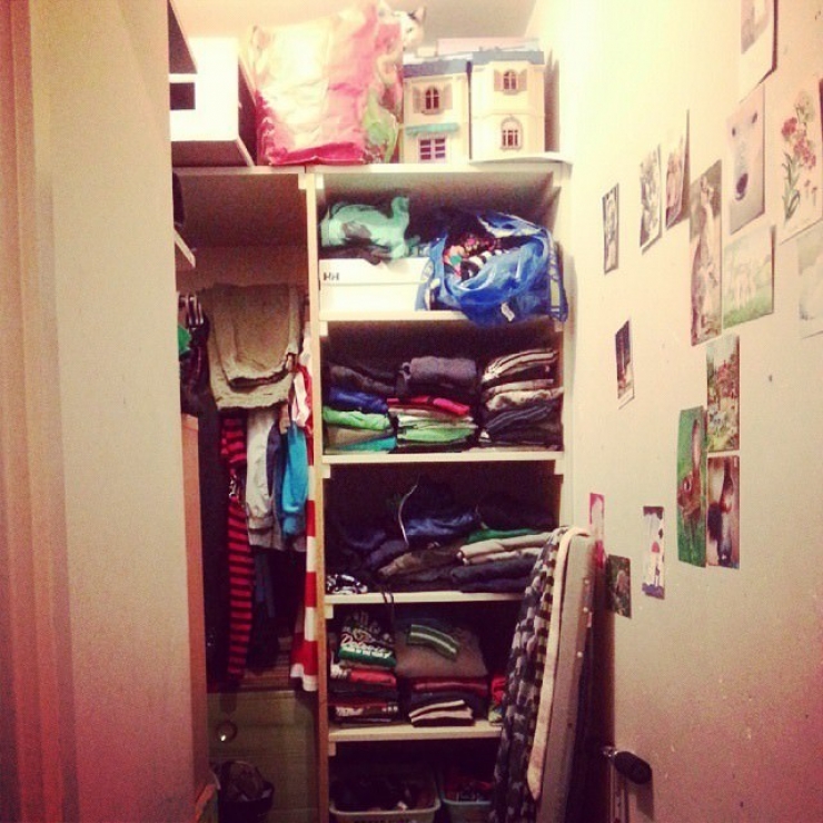 Illustration de l'article : Les chats et leur art du camouflage