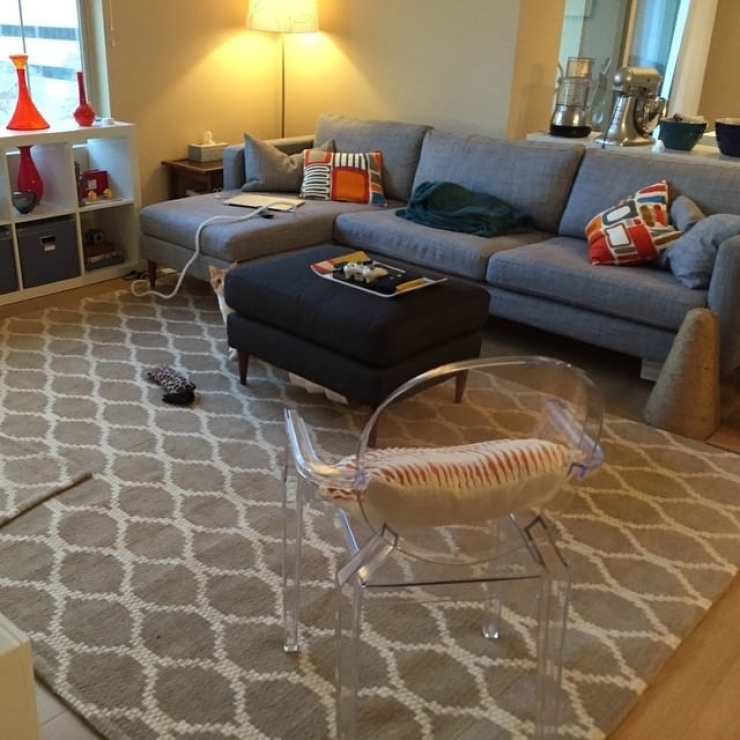 Illustration de l'article : Les chats et leur art du camouflage