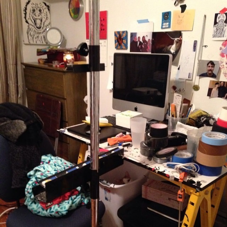 Illustration de l'article : Les chats et leur art du camouflage