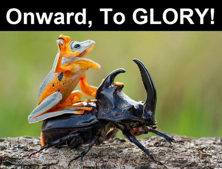 Illustration de l'article : 17 photos d'animaux aux l&eacute;gendes parfaites