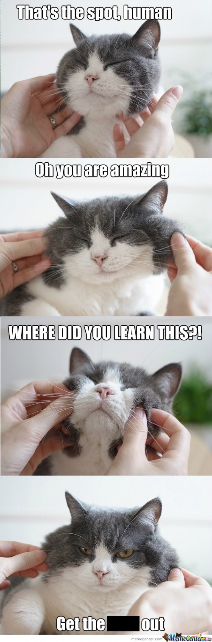 Illustration de l'article : 17 photos d'animaux aux l&eacute;gendes parfaites