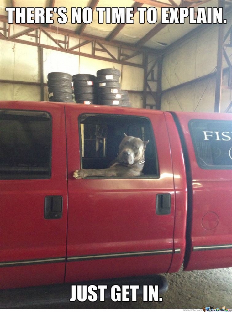 Illustration de l'article : 17 photos d'animaux aux l&eacute;gendes parfaites