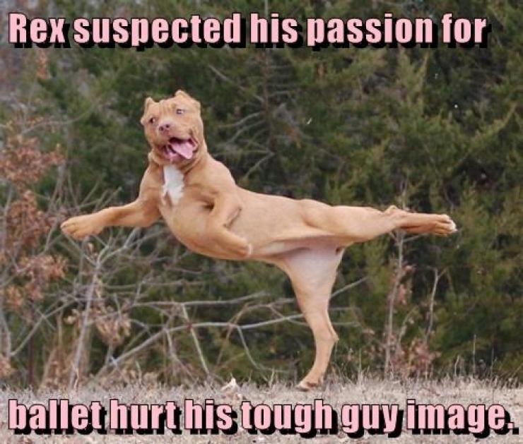 Illustration de l'article : 17 photos d'animaux aux l&eacute;gendes parfaites