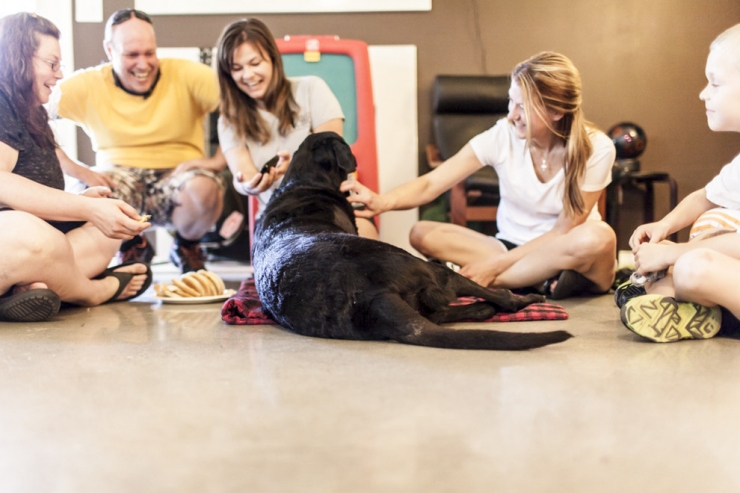 Illustration de l'article : Elle apprend que son chien a une tumeur inop&eacute;rable et lui fait vivre quelques chose de magique !
