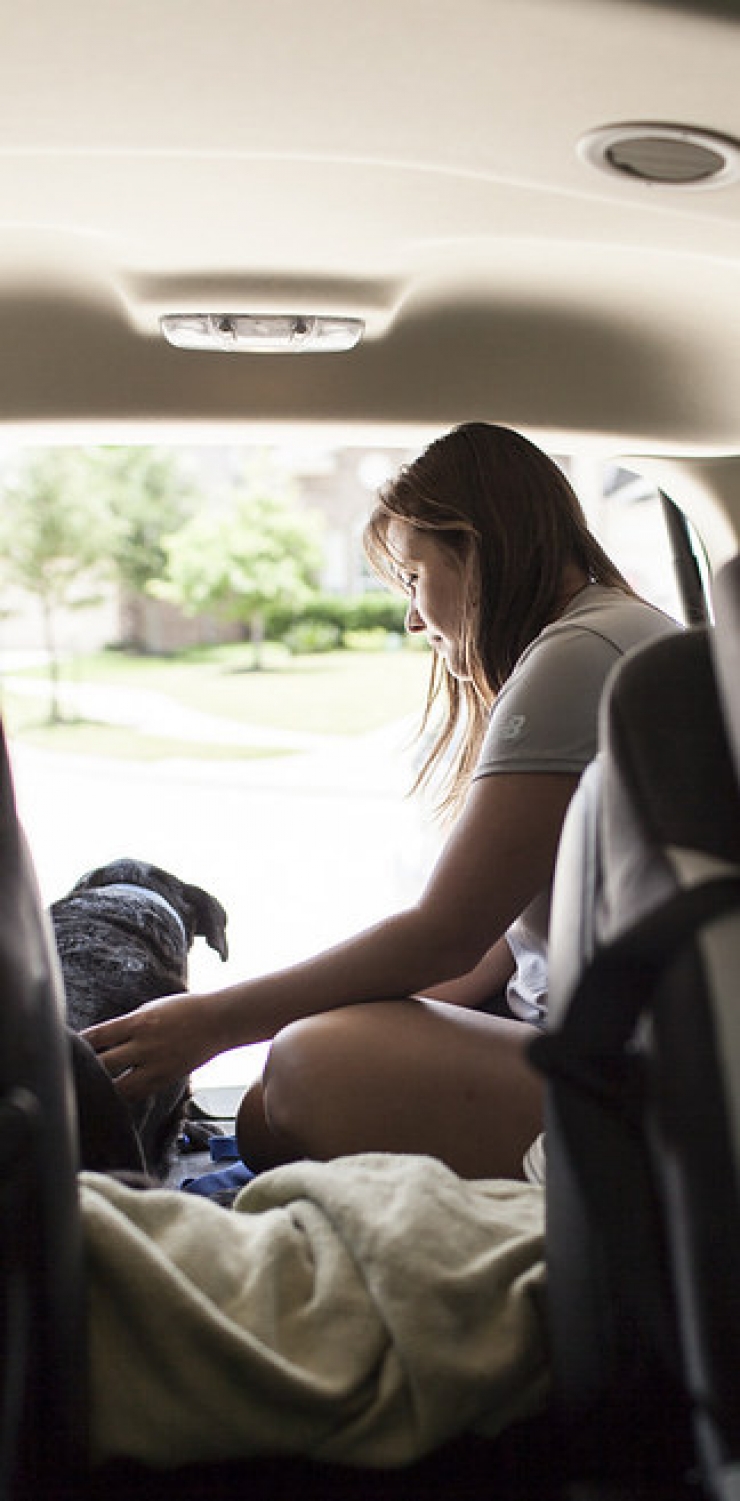 Illustration de l'article : Elle apprend que son chien a une tumeur inop&eacute;rable et lui fait vivre quelques chose de magique !