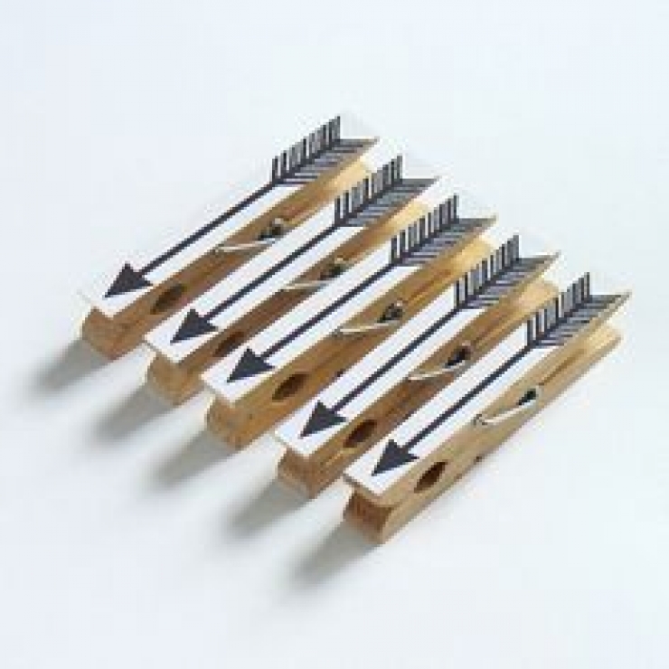 Illustration de l'article : Vous n'imaginez pas tout ce que vous pouvez faire avec des pinces &agrave; linge ! Voici 34 id&eacute;es.