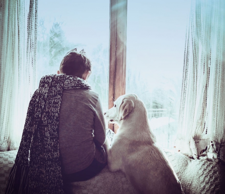 Illustration de l'article : Une fabuleuse amiti&eacute; entre un gar&ccedil;on et un jeune labrador abandonn&eacute;