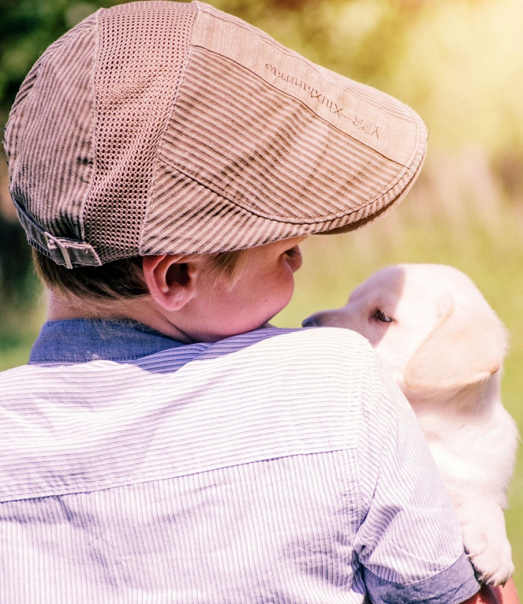 Illustration de l'article : Une fabuleuse amiti&eacute; entre un gar&ccedil;on et un jeune labrador abandonn&eacute;