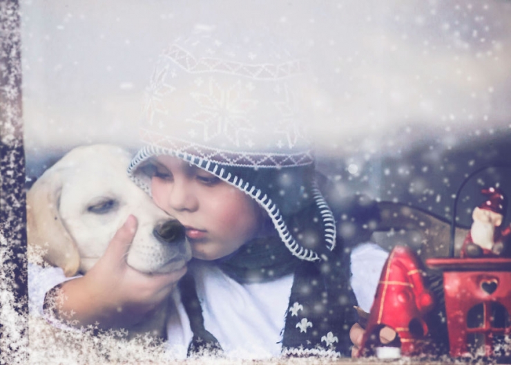 Illustration de l'article : Une fabuleuse amiti&eacute; entre un gar&ccedil;on et un jeune labrador abandonn&eacute;