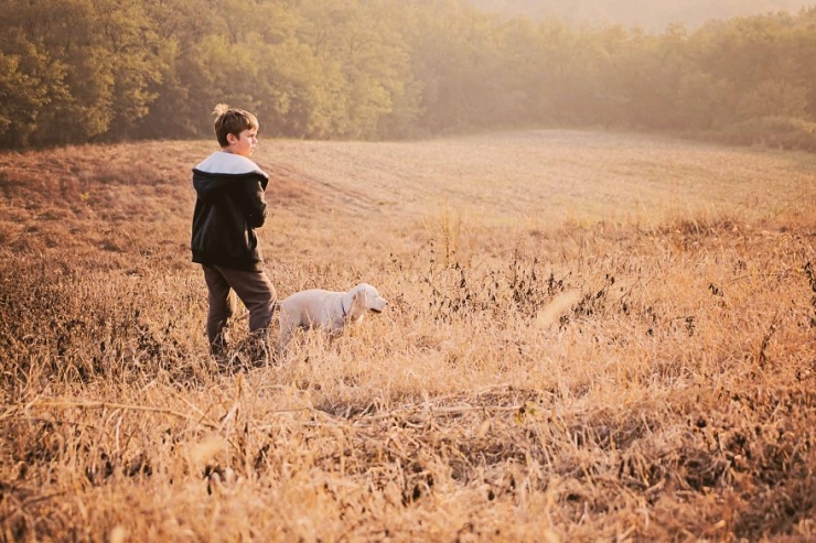 Illustration de l'article : Une fabuleuse amiti&eacute; entre un gar&ccedil;on et un jeune labrador abandonn&eacute;