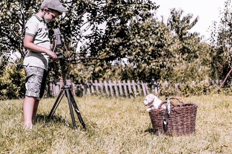 Illustration de l'article : Une fabuleuse amiti&eacute; entre un gar&ccedil;on et un jeune labrador abandonn&eacute;