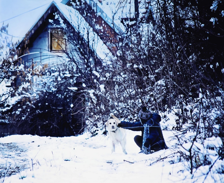 Illustration de l'article : Une fabuleuse amiti&eacute; entre un gar&ccedil;on et un jeune labrador abandonn&eacute;