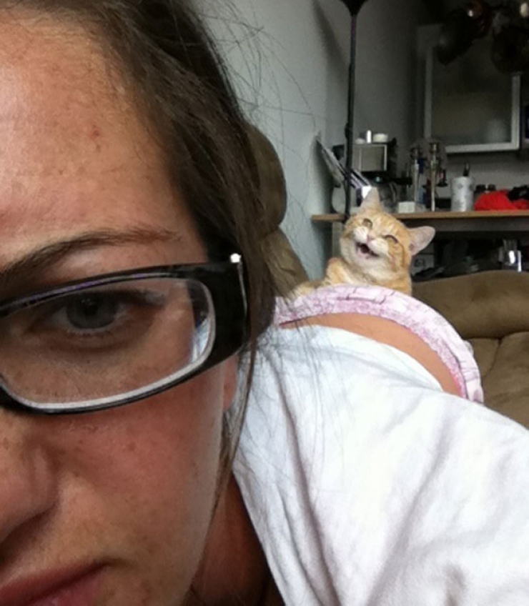 Illustration de l'article : 17 chats qui semblent avoir des projets sinistres plein la t&ecirc;te