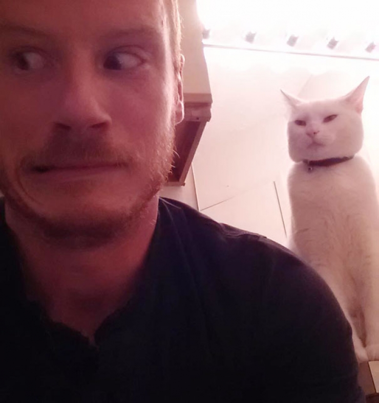 Illustration de l'article : 17 chats qui semblent avoir des projets sinistres plein la t&ecirc;te