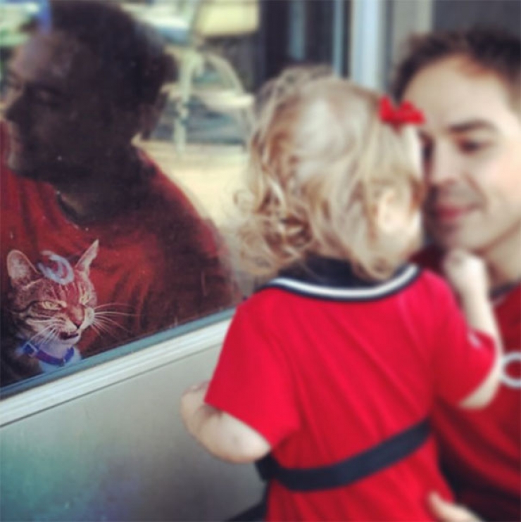 Illustration de l'article : 17 chats qui semblent avoir des projets sinistres plein la t&ecirc;te