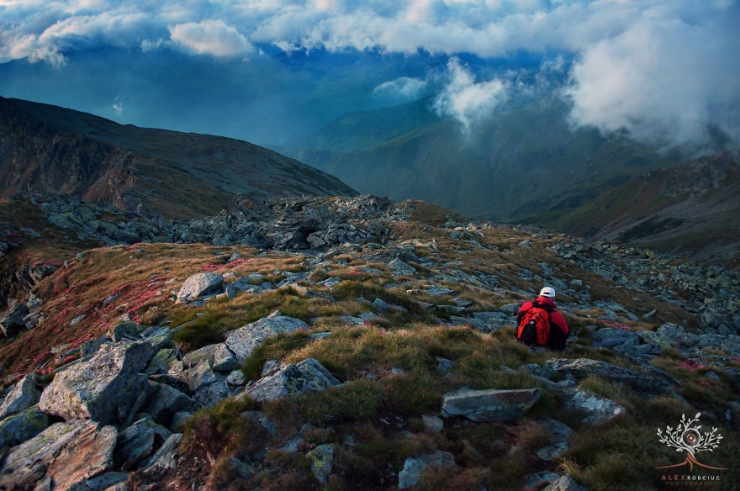 Illustration de l'article : La lumi&egrave;re naturelle de l'aube sublime ces magnifiques paysages transylvaniens capt&eacute;s par un talentueux photographe
