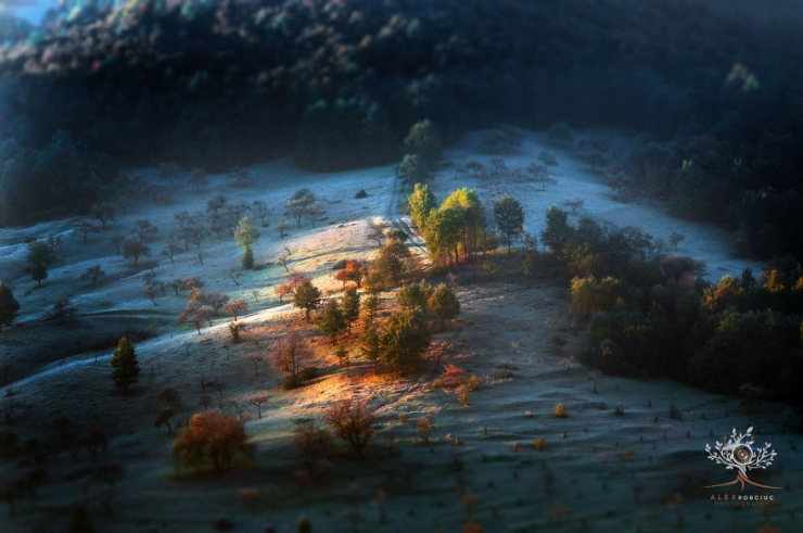 Illustration de l'article : La lumi&egrave;re naturelle de l'aube sublime ces magnifiques paysages transylvaniens capt&eacute;s par un talentueux photographe