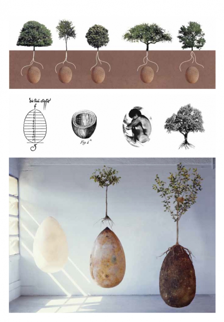 Transformer les defunts en arbres, c