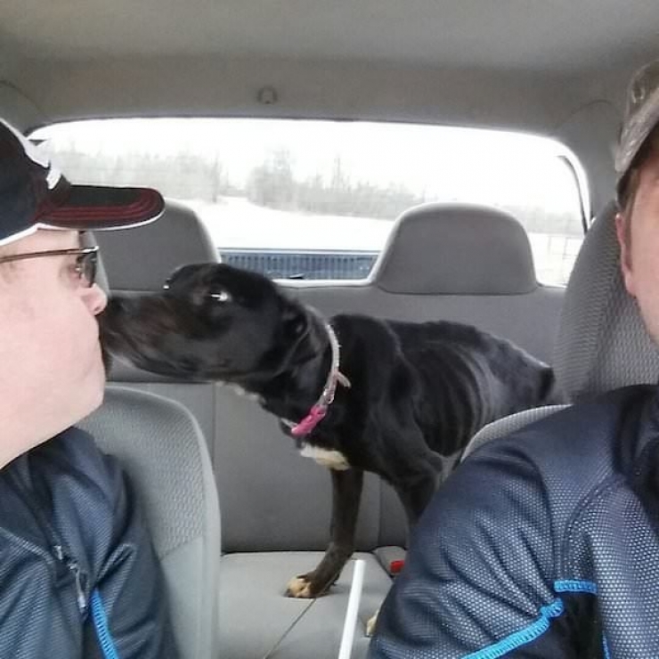 Illustration de l'article : Ces motards tombent sur une cage abandonn&eacute;e et restent bouche b&eacute;e en voyant ce qui s'y trouve...