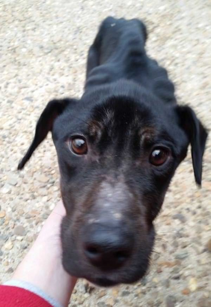 Illustration de l'article : Ces motards tombent sur une cage abandonn&eacute;e et restent bouche b&eacute;e en voyant ce qui s'y trouve...