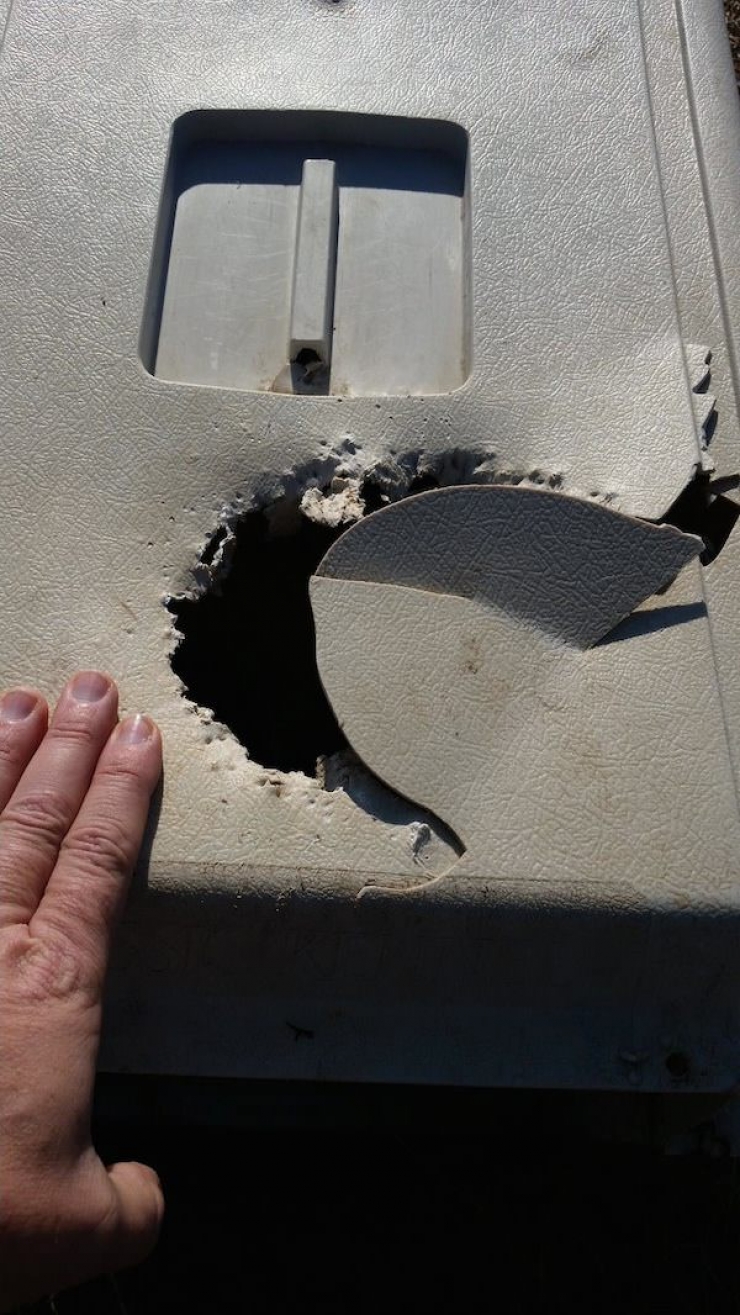 Illustration de l'article : Ces motards tombent sur une cage abandonn&eacute;e et restent bouche b&eacute;e en voyant ce qui s'y trouve...