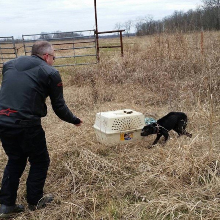 Illustration de l'article : Ces motards tombent sur une cage abandonn&eacute;e et restent bouche b&eacute;e en voyant ce qui s'y trouve...