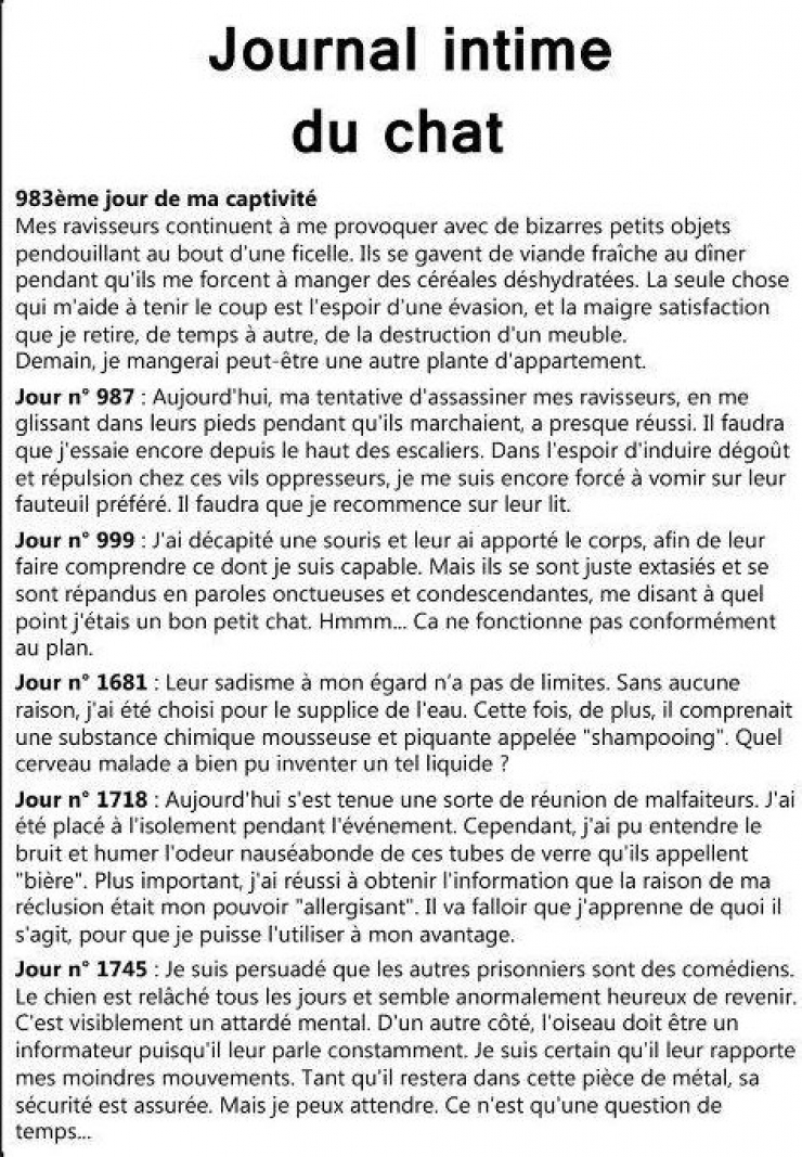 Illustration de l'article : DIfférences entre le journal intime d'un chien et d'un chat. C'est Hilarant !