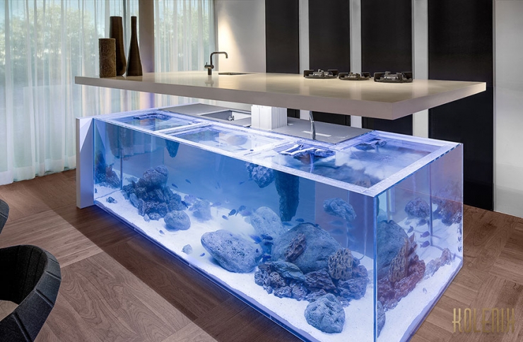 Illustration de l'article : Cet îlot de cuisine est également un grand aquarium