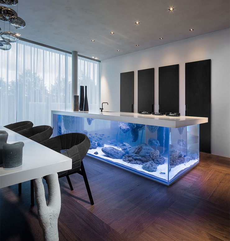 Illustration de l'article : Cet îlot de cuisine est également un grand aquarium