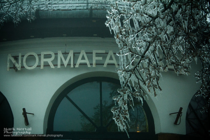 Illustration de l'article : Un brouillard givrant d'une rare puissance produit cette vision apocalyptique immortalisée par un photographe