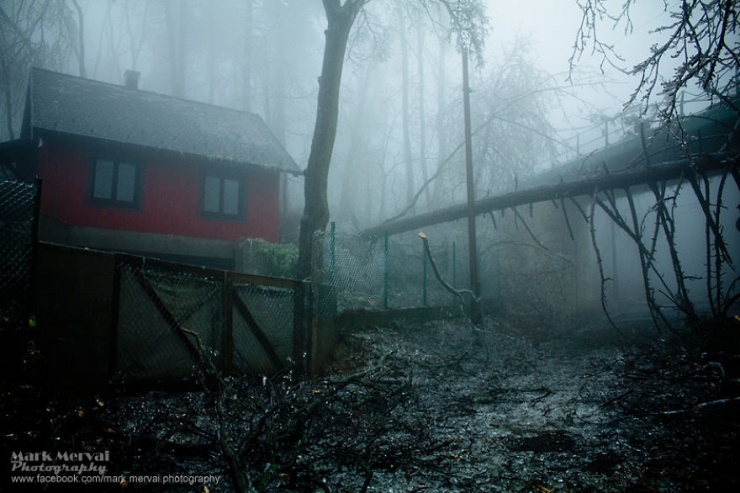 Illustration de l'article : Un brouillard givrant d'une rare puissance produit cette vision apocalyptique immortalisée par un photographe