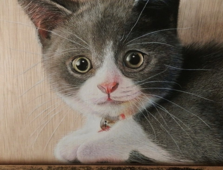 Illustration de l'article : Ces pringles ne sont pas ce qu'ils semblent &ecirc;tre