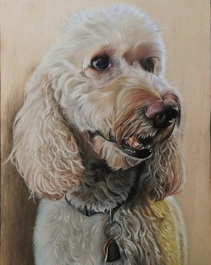 Illustration de l'article : Ces pringles ne sont pas ce qu'ils semblent &ecirc;tre