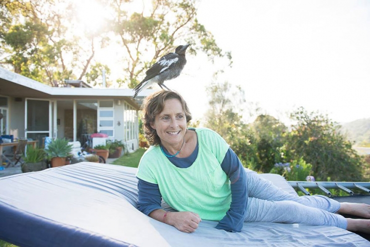 Illustration de l'article : Voici Penguin, la pie qui &eacute;gaye la vie de cette famille australienne. D&eacute;couvrez sa formidable histoire