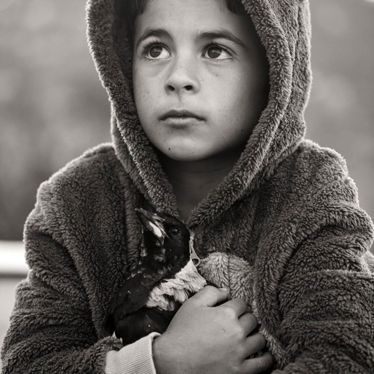 Illustration de l'article : Voici Penguin, la pie qui &eacute;gaye la vie de cette famille australienne. D&eacute;couvrez sa formidable histoire