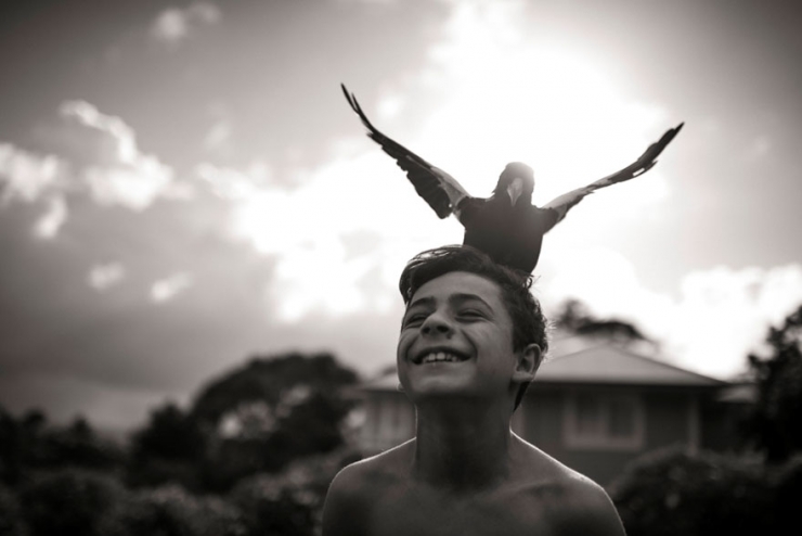 Illustration de l'article : Voici Penguin, la pie qui &eacute;gaye la vie de cette famille australienne. D&eacute;couvrez sa formidable histoire