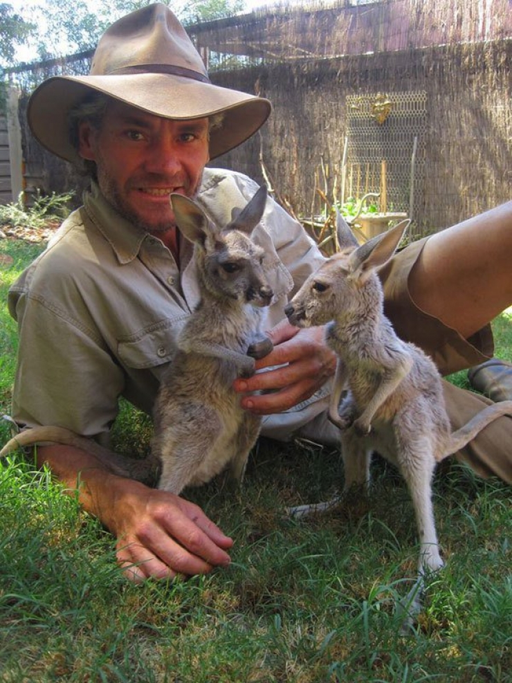 Illustration de l'article : Un refuge pour kangourous orphelins