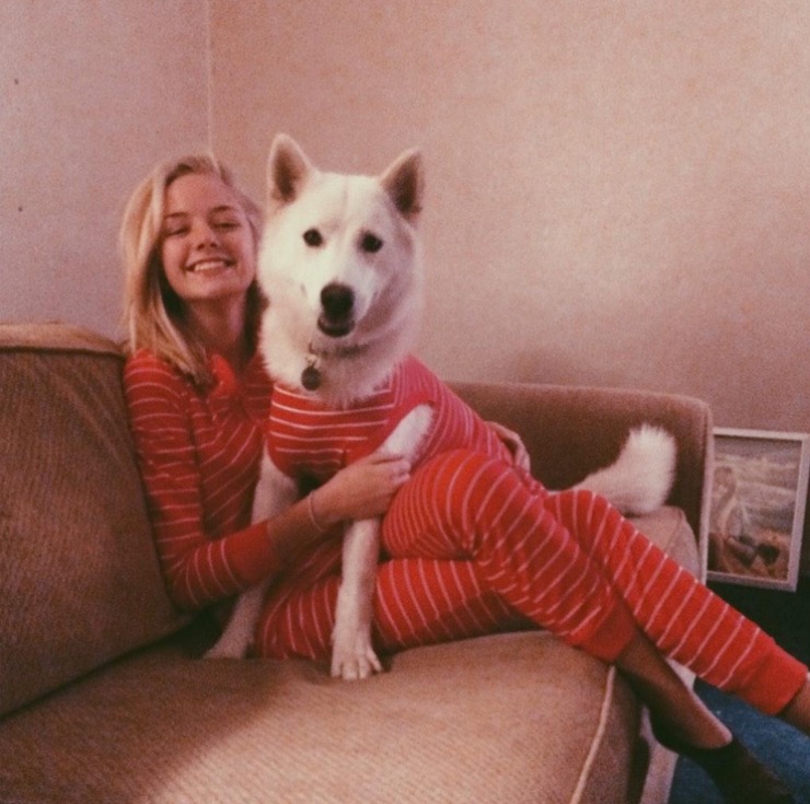 Illustration de l'article : Drôles et mignons, ces 14 chiens en pyjama qui ne quitteraient leurs lits pour rien au monde