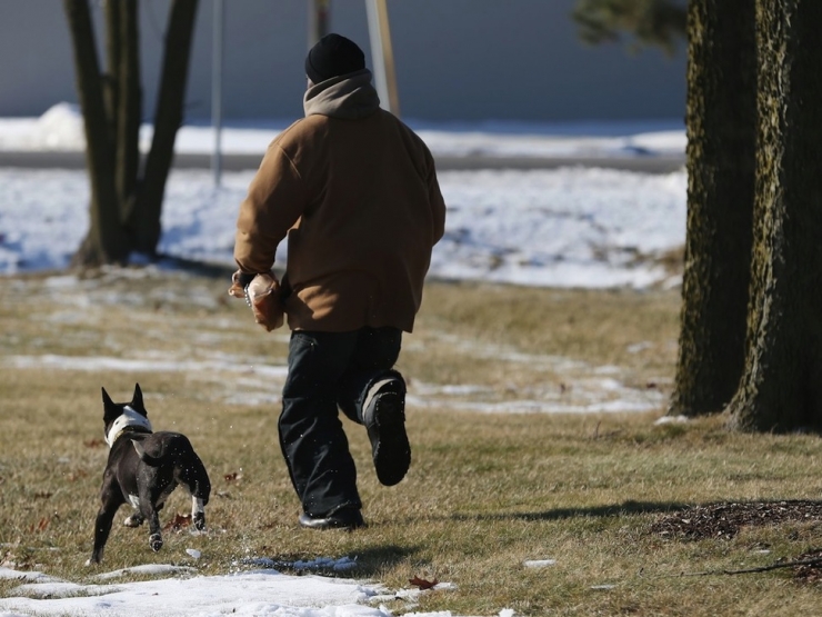 Illustration de l'article : L'&eacute;mouvante histoire d'un sans-abri et de son chien ! Quand la vie vous offre une deuxi&egrave;me chance...