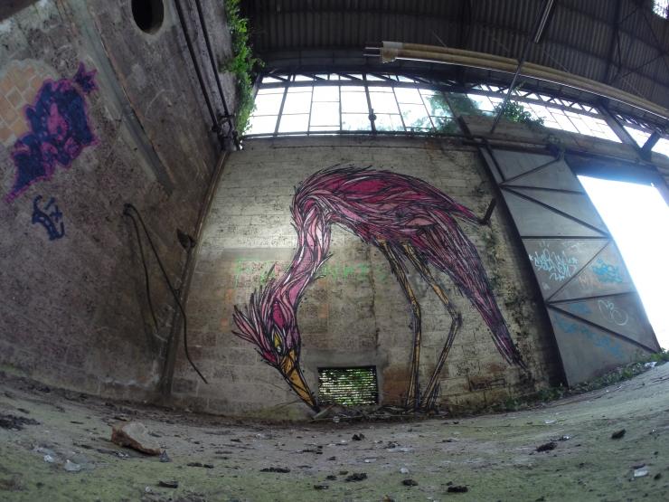 Illustration de l'article : Street art animalier impressionnant ! Le 11&egrave;me est juste magnifique !