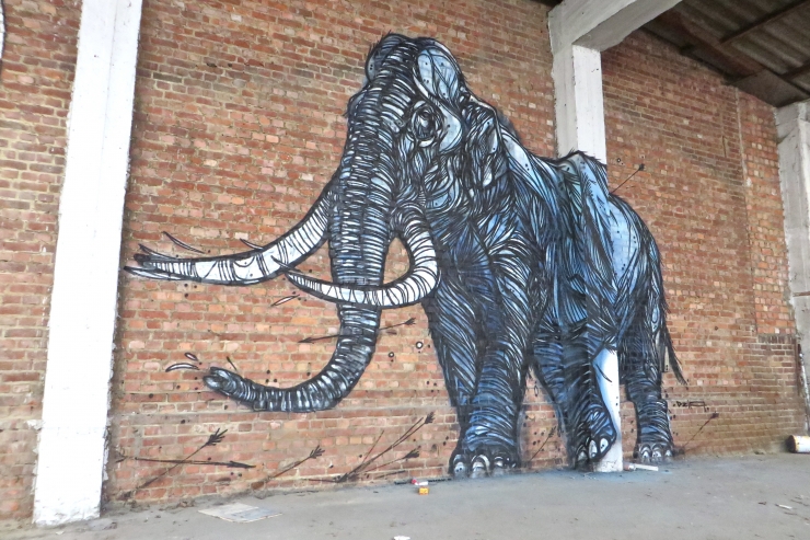 Illustration de l'article : Street art animalier impressionnant ! Le 11&egrave;me est juste magnifique !