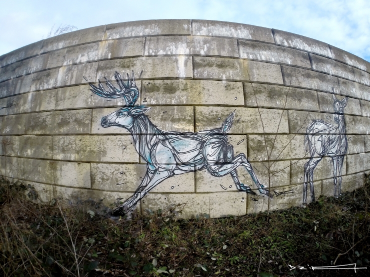 Illustration de l'article : Street art animalier impressionnant ! Le 11ème est juste magnifique !