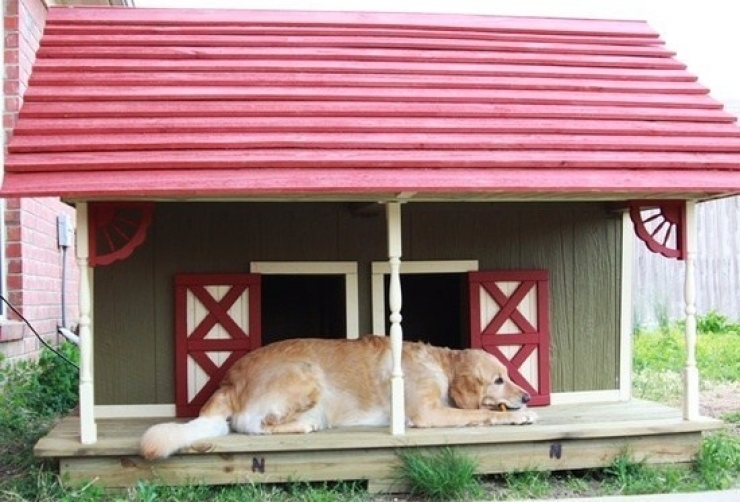 Illustration de l'article : Top 26 des plus belles niches pour chiens ! De quoi vous donner des id&eacute;es...