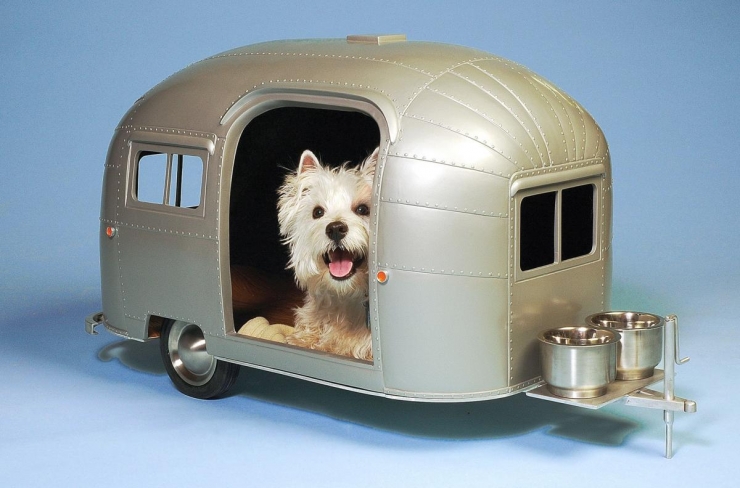 Illustration de l'article : Top 26 des plus belles niches pour chiens ! De quoi vous donner des id&eacute;es...