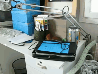 Illustration de l'article : Cet &eacute;cureuil a v&eacute;cu 6 ann&eacute;es aupr&egrave;s de la famille qui l'a sauv&eacute;e et soign&eacute;e