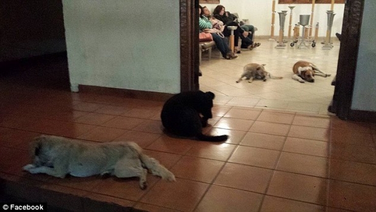 Illustration de l'article : Ce qui est arriv&eacute; aux fun&eacute;railles de cette femme d&eacute;c&eacute;d&eacute;e a surpris toute la famille...C'est indescriptible !