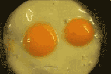 Illustration de l'article : 20 produits inventé par et pour des amoureux de bouffe