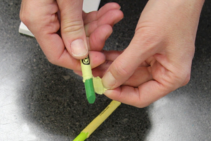 Illustration de l'article : Une d&eacute;coration tr&egrave;s jolie &agrave; pr&eacute;parer juste avec un peu de cire et une toile. Vous allez adorer !