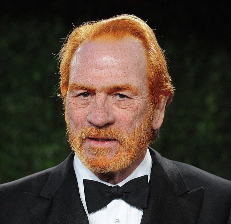 Illustration de l'article : Et si les c&eacute;l&eacute;brit&eacute;s devenaient rousses ? La ginger attitude en 30 photos !