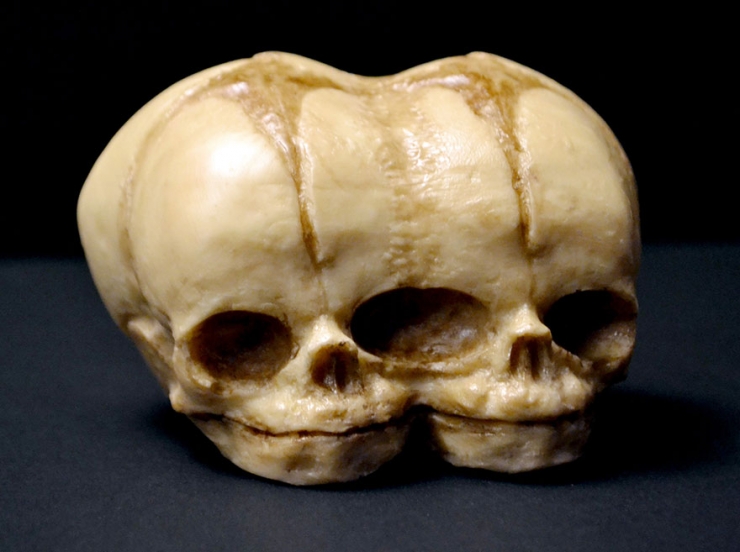 Illustration de l'article : Frissons (et r&eacute;gal) garantis avec les g&acirc;teaux morbides d'Annabel de Vetten